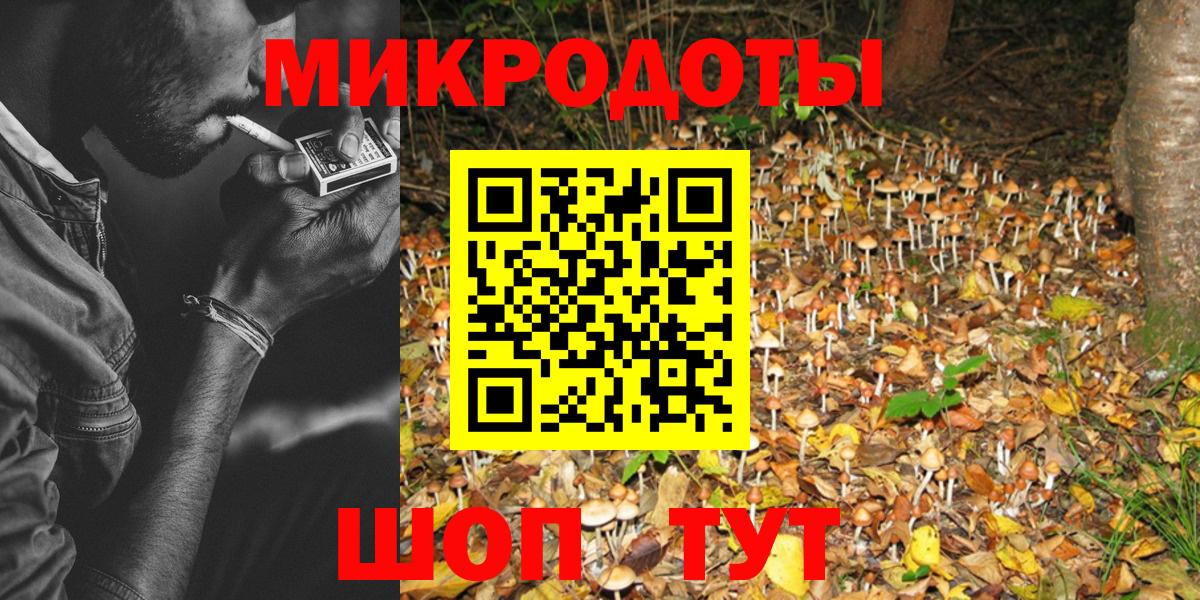 магазин продажи наркотиков  Челябинск  Галлюциногенные грибы прущие грибы  Псилоцибиновые грибы Cubensis 