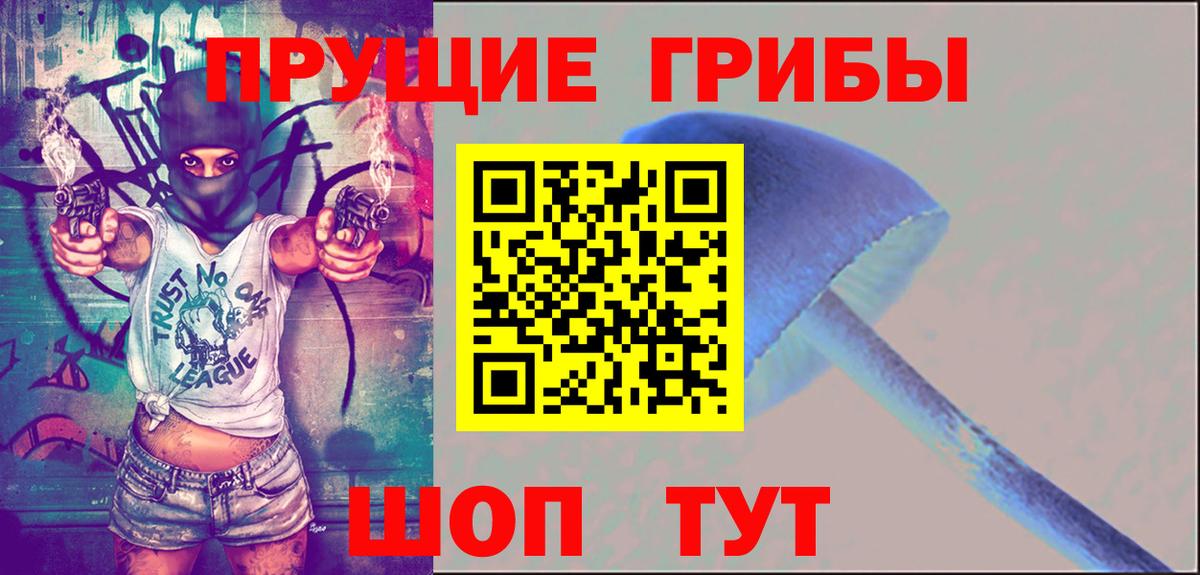 Псилоцибиновые грибы Psilocybe  Вход с VPN  Челябинск 